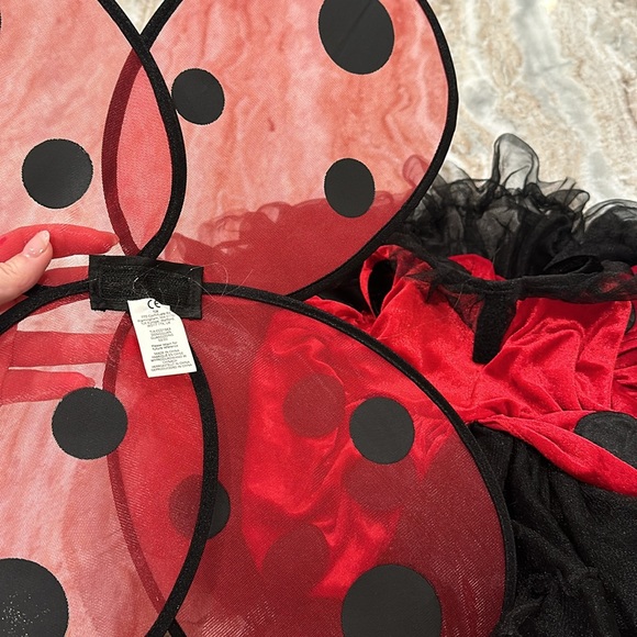 2T Ladybug Costume - Picture 5 of 5
